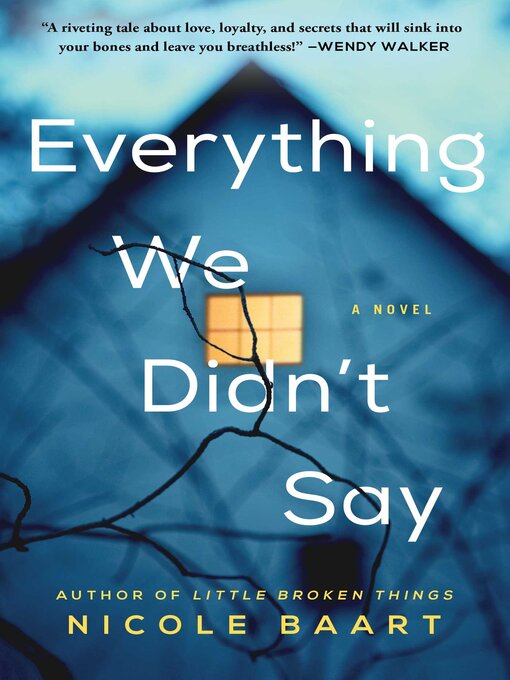 Title details for Everything We Didn't Say: a Novel by Nicole Baart - Wait list
